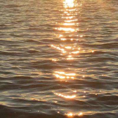 2023管家婆资料正版大全澳门截图